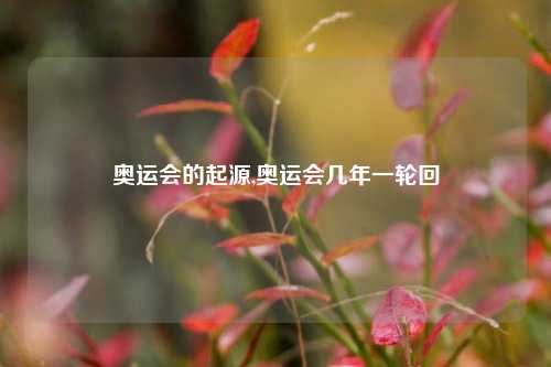 奥运会的起源,奥运会几年一轮回
