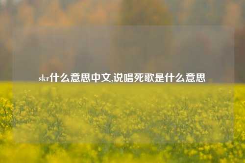 skr什么意思中文,说唱死歌是什么意思