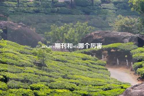 acs,acs期刊和sci哪个厉害
