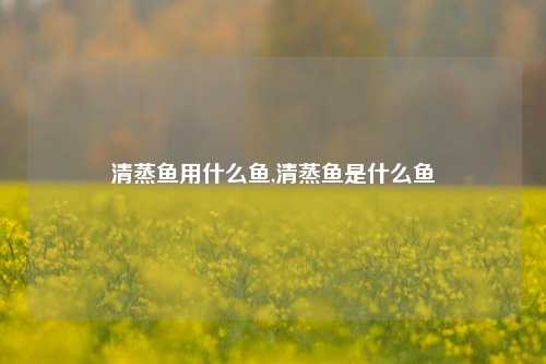 清蒸鱼用什么鱼,清蒸鱼是什么鱼