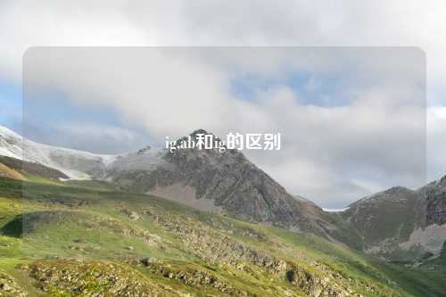 ig,ab和ig的区别