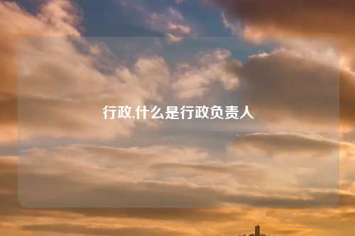 行政,什么是行政负责人