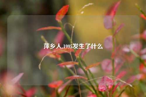 萍乡人,1995发生了什么