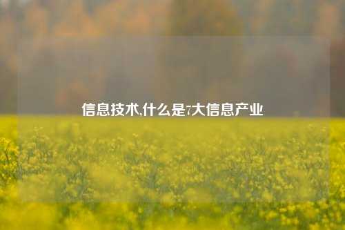 信息技术,什么是7大信息产业