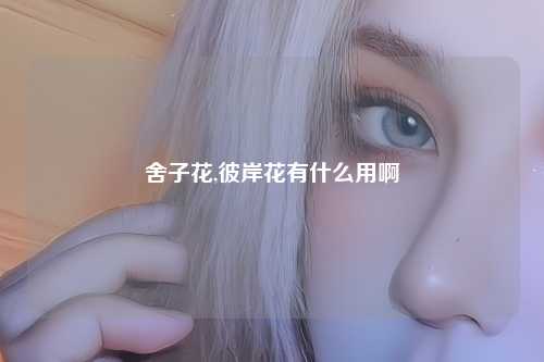 舍子花,彼岸花有什么用啊