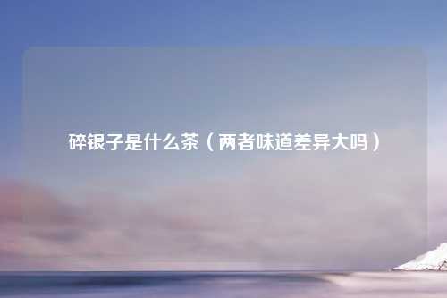 碎银子是什么茶（两者味道差异大吗）