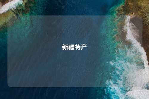 新疆特产