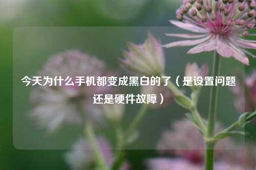 今天为什么手机都变成黑白的了（是设置问题还是硬件故障）