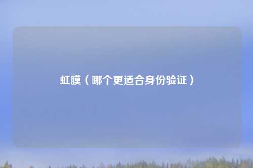 虹膜（哪个更适合身份验证）
