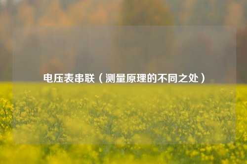 电压表串联（测量原理的不同之处）