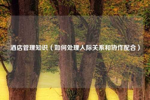 酒店管理知识（如何处理人际关系和协作配合）