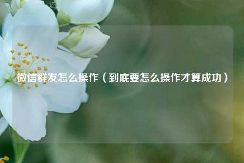 微信群发怎么操作（到底要怎么操作才算成功）