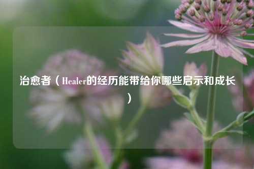 治愈者（Healer的经历能带给你哪些启示和成长）
