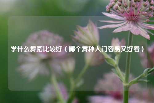 学什么舞蹈比较好（哪个舞种入门容易又好看）