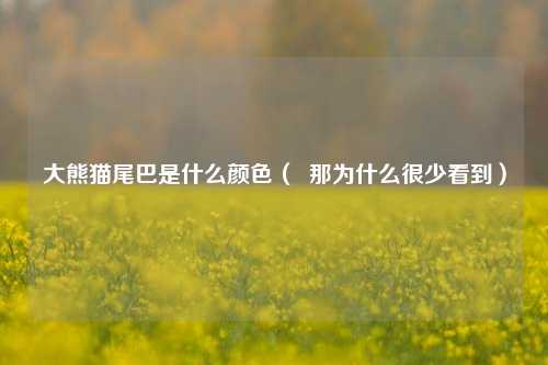 大熊猫尾巴是什么颜色（  那为什么很少看到）