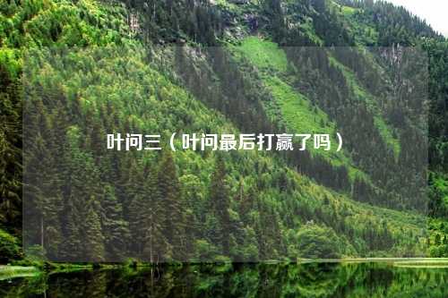 叶问三（叶问最后打赢了吗）