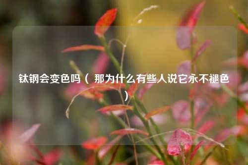 钛钢会变色吗（ 那为什么有些人说它永不褪色）