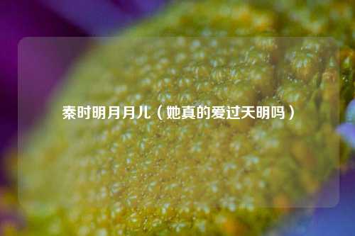 秦时明月月儿（她真的爱过天明吗）