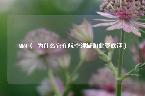 6061（  为什么它在航空领域如此受欢迎）