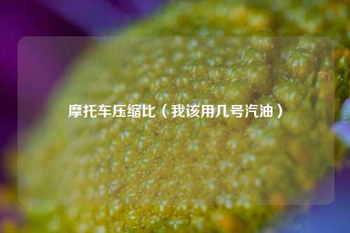 摩托车压缩比（我该用几号汽油）