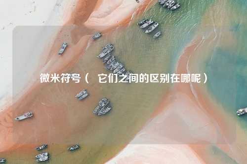 微米符号（  它们之间的区别在哪呢）