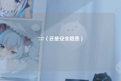 737（还是安全隐患）