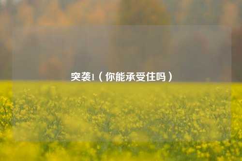 突袭1（你能承受住吗）