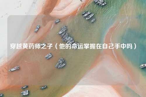 穿越黄药师之子（他的命运掌握在自己手中吗）
