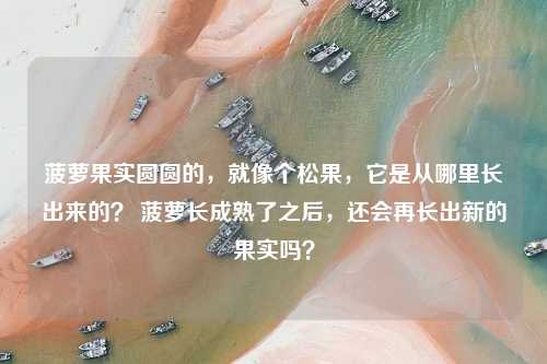 菠萝果实圆圆的，就像个松果，它是从哪里长出来的？ 菠萝长成熟了之后，还会再长出新的果实吗？