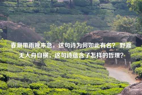 春潮带雨晚来急，这句诗为何如此有名？ 野渡无人舟自横，这句诗蕴含了怎样的哲理？