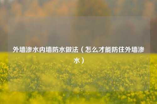 外墙渗水内墙防水做法（怎么才能防住外墙渗水）