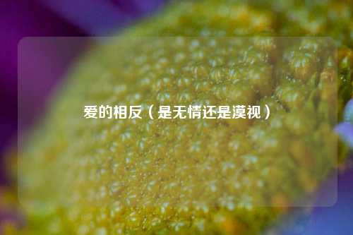 爱的相反（是无情还是漠视）