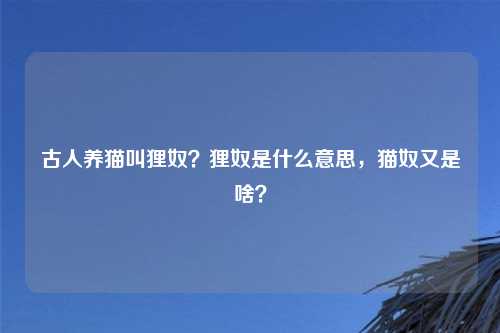 古人养猫叫狸奴？狸奴是什么意思，猫奴又是啥？