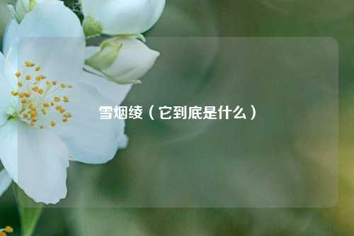 雪烟绫（它到底是什么）