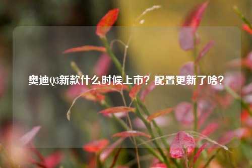 奥迪Q3新款什么时候上市？配置更新了啥？