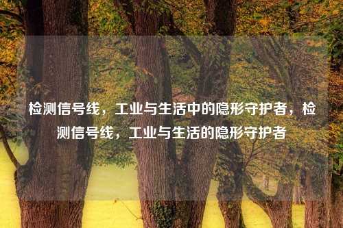 检测信号线,工业与生活中的隐形守护者,检测信号线,工业与生活的隐形守护者
