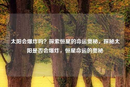 太阳会爆炸吗?探索恒星的命运奥秘,探秘太阳是否会爆炸,恒星命运的奥秘