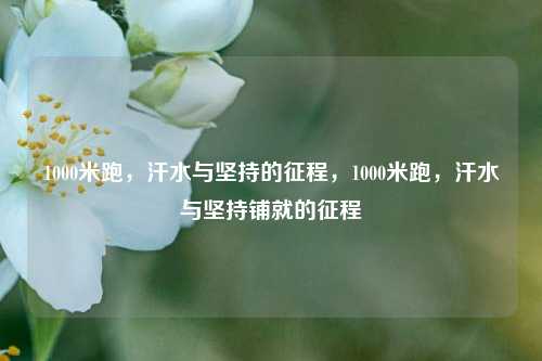 1000米跑,汗水与坚持的征程,1000米跑,汗水与坚持铺就的征程