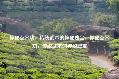 探秘点穴功,传统武术的神秘瑰宝,探秘点穴功,传统武术的神秘瑰宝