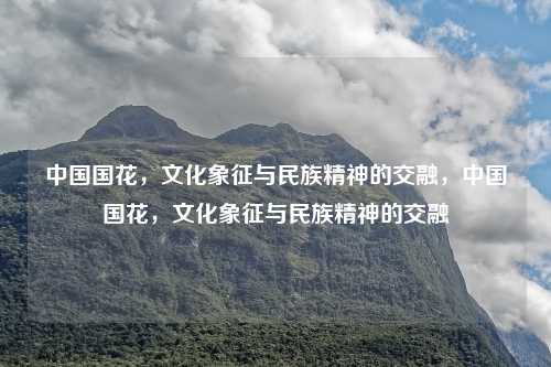 中国国花,文化象征与民族精神的交融,中国国花,文化象征与民族精神的交融