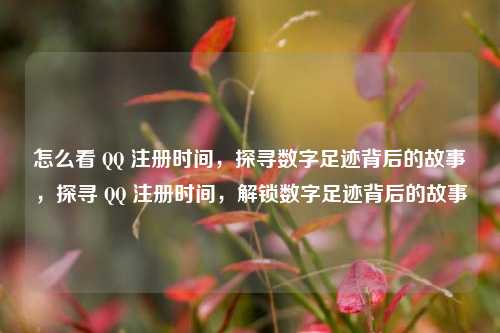 怎么看 QQ 注册时间,探寻数字足迹背后的故事,探寻 QQ 注册时间,解锁数字足迹背后的故事
