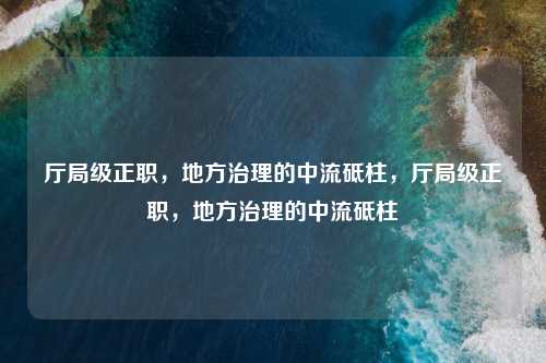 厅局级正职,地方治理的中流砥柱,厅局级正职,地方治理的中流砥柱