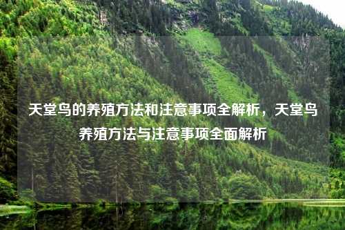 天堂鸟的养殖方法和注意事项全解析,天堂鸟养殖方法与注意事项全面解析