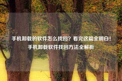 手机卸载的软件怎么找回?看完这篇全明白!手机卸载软件找回方法全解析