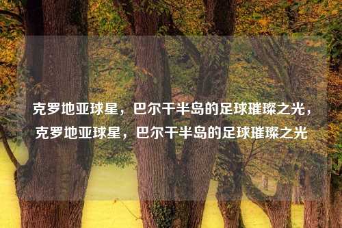 克罗地亚球星,巴尔干半岛的足球璀璨之光,克罗地亚球星,巴尔干半岛的足球璀璨之光