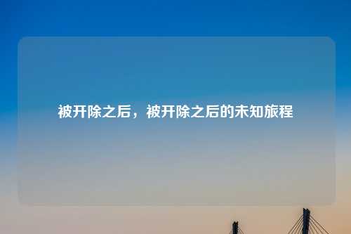 被开除之后,被开除之后的未知旅程
