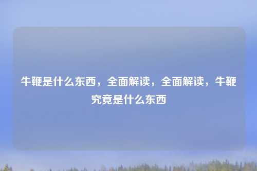 牛鞭是什么东西，全面解读，全面解读，牛鞭究竟是什么东西