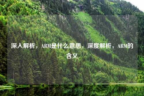 深入解析,ARM是什么意思,深度解析,ARM的含义