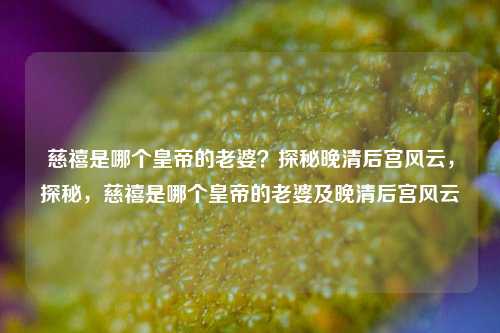 慈禧是哪个皇帝的老婆?探秘晚清后宫风云,探秘,慈禧是哪个皇帝的老婆及晚清后宫风云