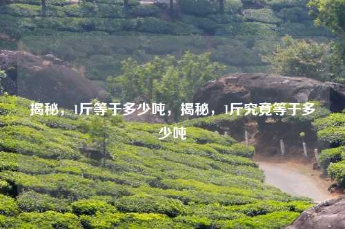 揭秘,1斤等于多少吨,揭秘,1斤究竟等于多少吨